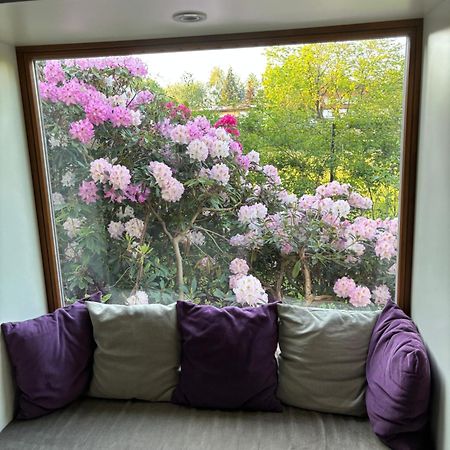 Říčany 7 Bedroom Secluded Villa Close To Prague מראה חיצוני תמונה