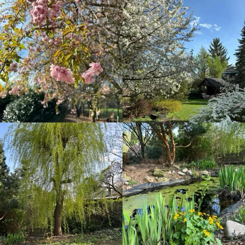 Říčany 7 Bedroom Secluded Villa Close To Prague מראה חיצוני תמונה