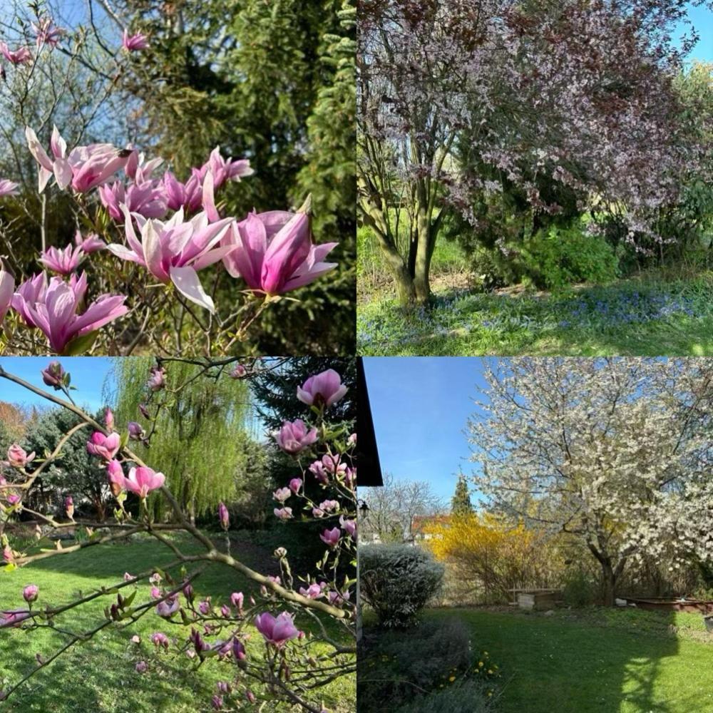 Říčany 7 Bedroom Secluded Villa Close To Prague מראה חיצוני תמונה