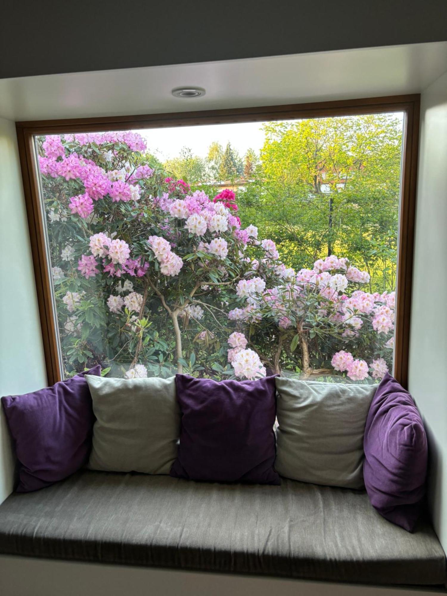 Říčany 7 Bedroom Secluded Villa Close To Prague מראה חיצוני תמונה